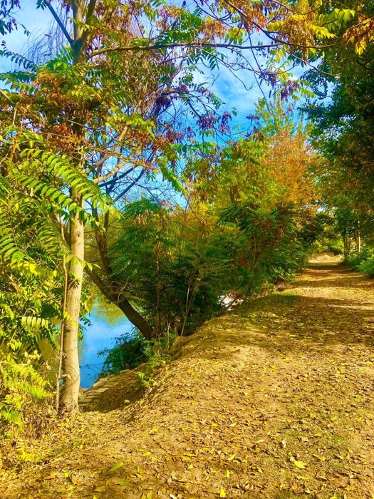 Orta Chirchiq Qorasuv daryosi boyida