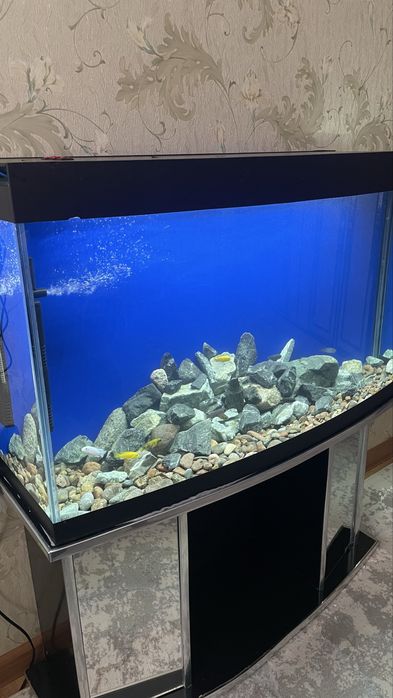 Akvarium 180 L komplekt