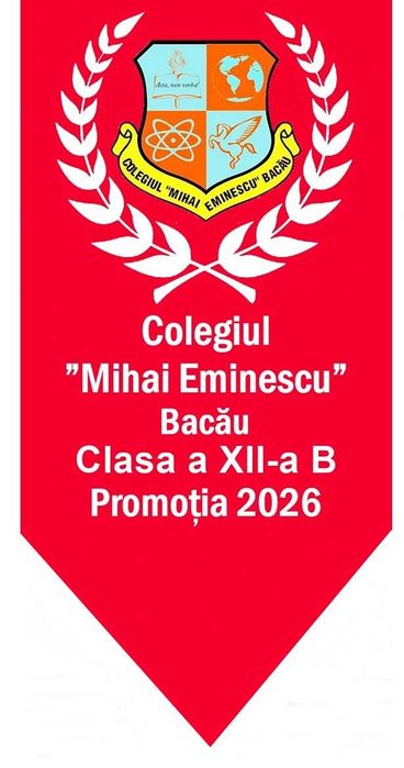 Robe, Toci, Esarfe, Cocarde Absolvire Pret de Producator