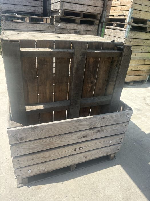 Boxpaleti lemn depozitare fructe sau legume