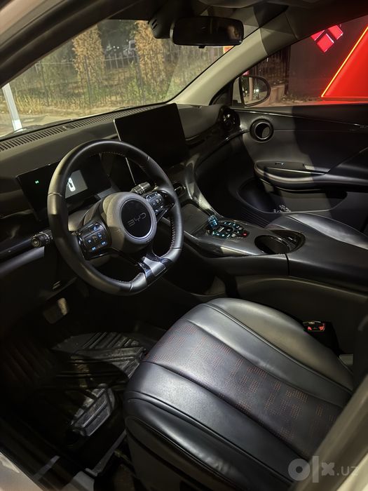 Byd e2 luxury 2024