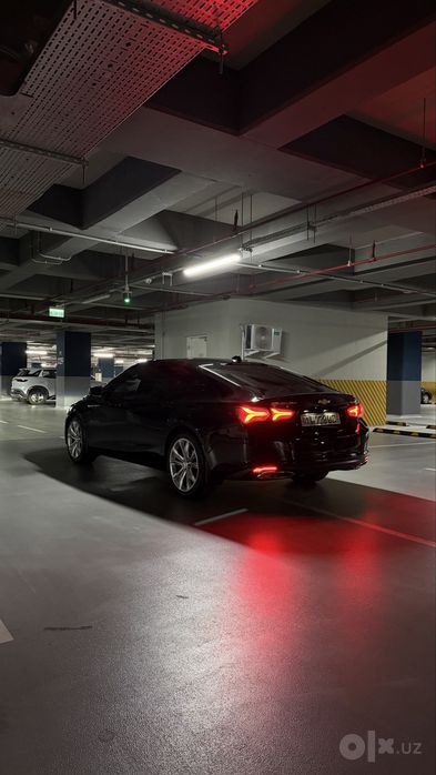 Malibu Premier qora