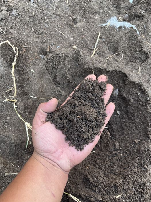 Биогумус удобрение