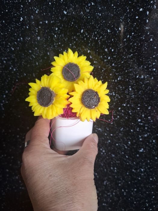 Слънчогледи в кашпа