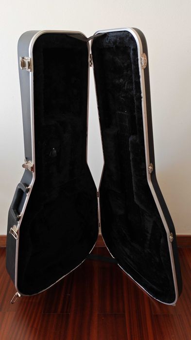 Chitara Washburn + Toc Chitara + stand