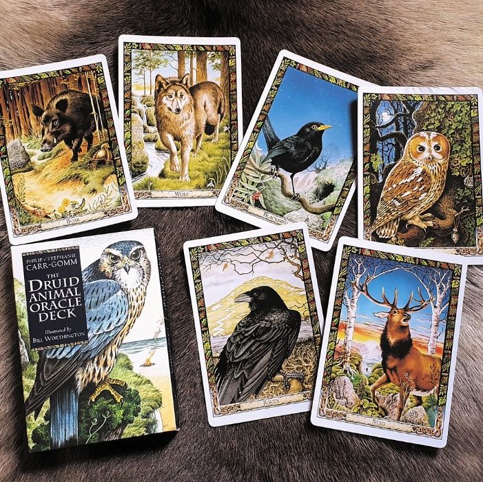 Animal Druid-Carti Oracol/tarot-Lucru cu Animale sacre,Traditie CELTIC