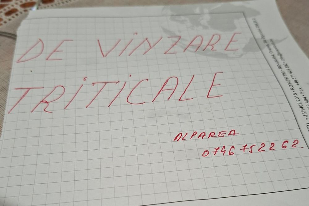 Triticale cereale pt animale