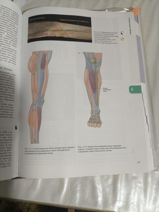 Анатомические поезда