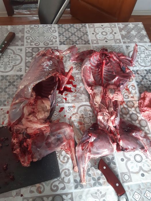 Продам зайцев жирные