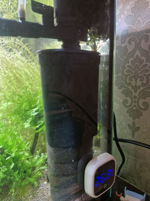 Аквариум. Креветочник.