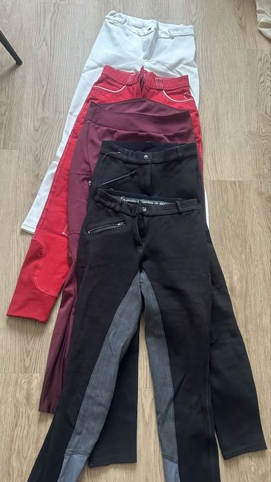 Echipament calarie/echitatie/pantaloni
