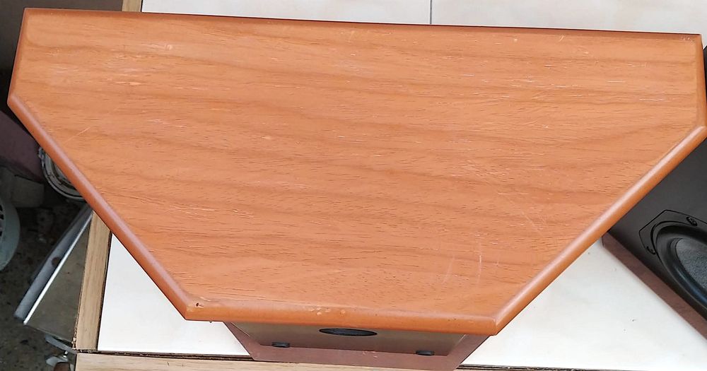 JM Lab/ Focal Electra SR30 incinte boxe difuzoare