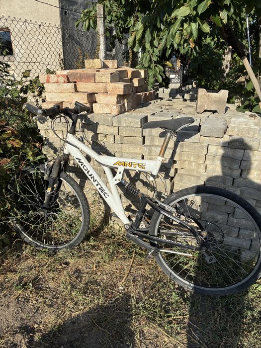 Bicicleta adult