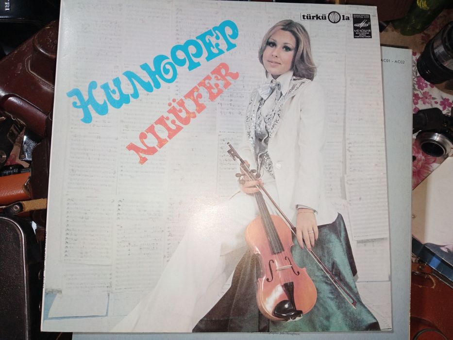 Виниловые пластинки