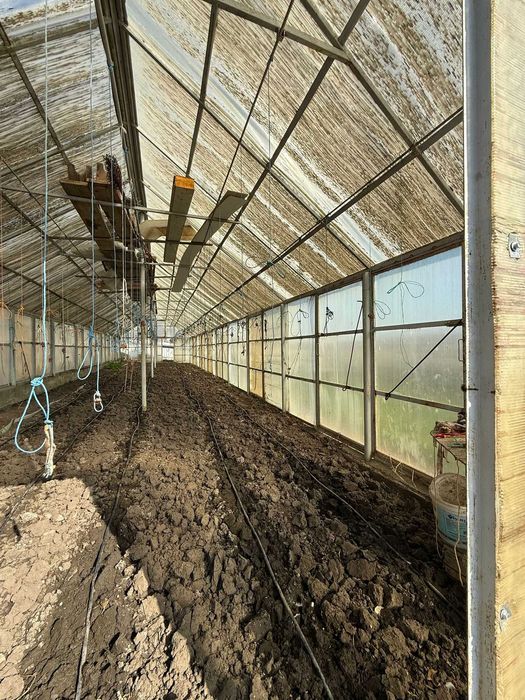 Teren de vânzare cu seră și vie în com. Belcești, jud. Iași