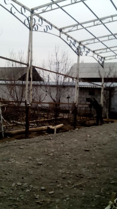 Harhl  turdag  tiplisa  tom  naveslar  quramz  tololar  kelishtrlgan h