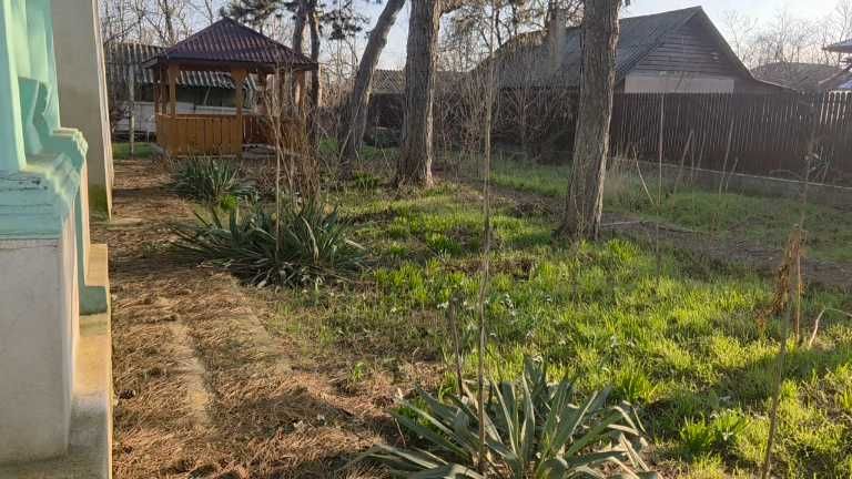 Casa batraneasca cu teren ciocanesti 1296mp