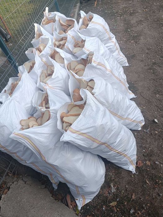 pâine pentru animale ,jud buzau și județele apropiate !