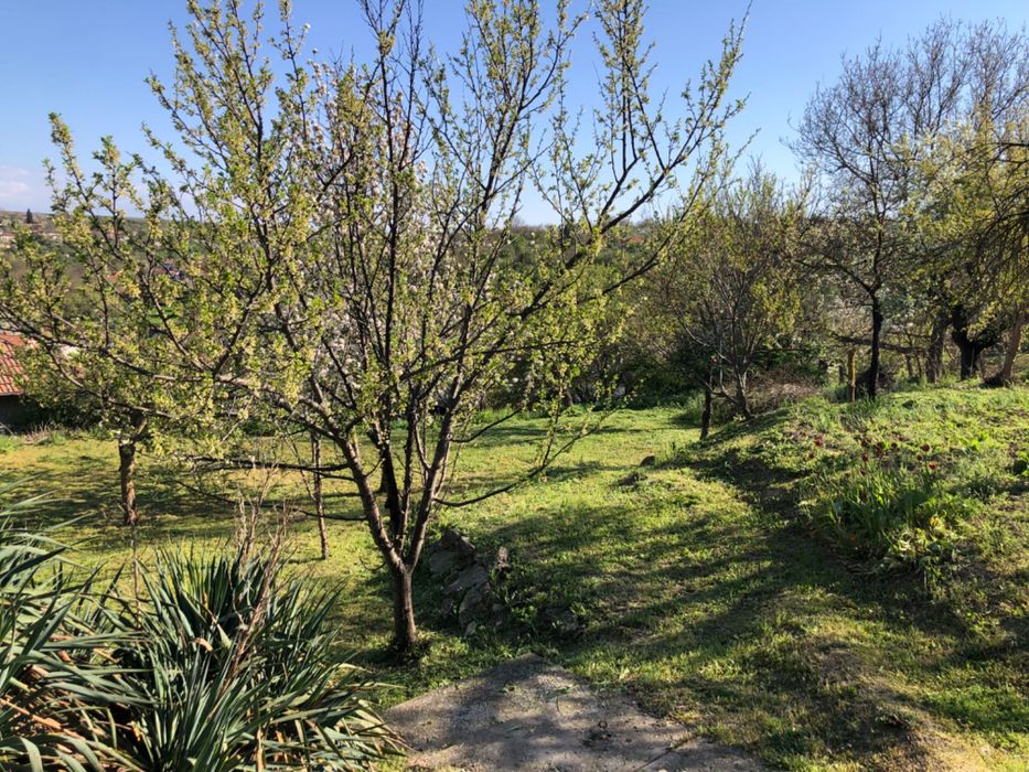 Продава се Къща в Разград, Орел - 60 кв.м за 425 €/кв.м - Снимка #10