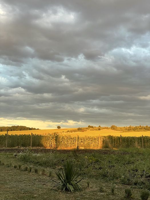 програматор за напояване компютър