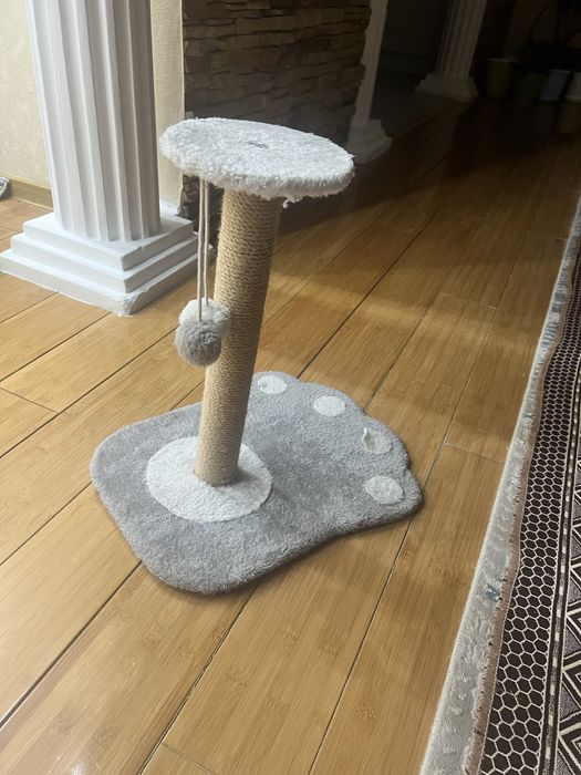 Продам когеточки для кошки