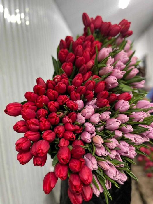 Тюльпан 8 марта оформление в подарок