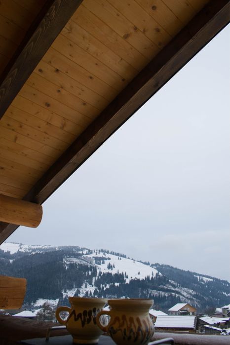 Cabana rustic cu 4 camere,ciubar si sauna