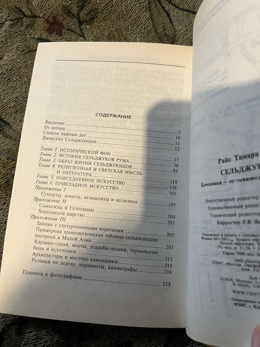 Тамара Т. Райс: Сельджуки