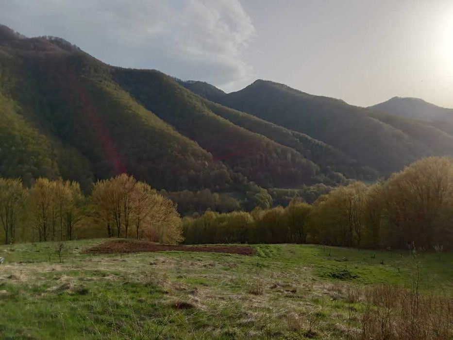 Парцел в село Рибарица - област Ловеч