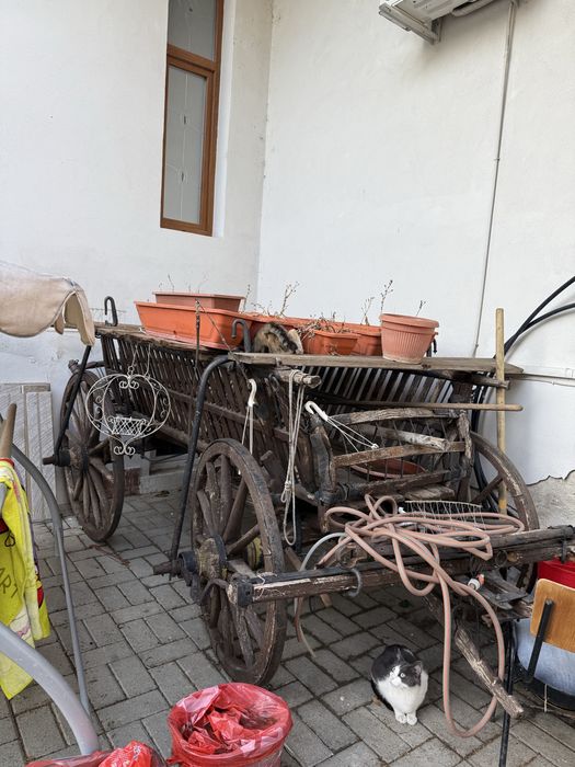 Caruta veche rustica pentru gradina de ornament cu flori