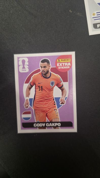 Extra Sticker Panini