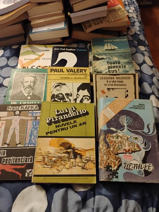 Cărți de literatură