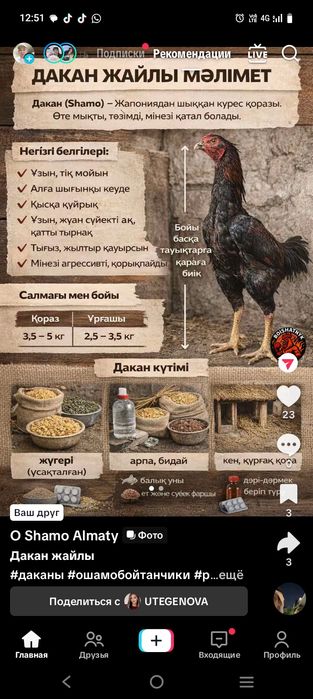 Дакан балапандарын сатылады