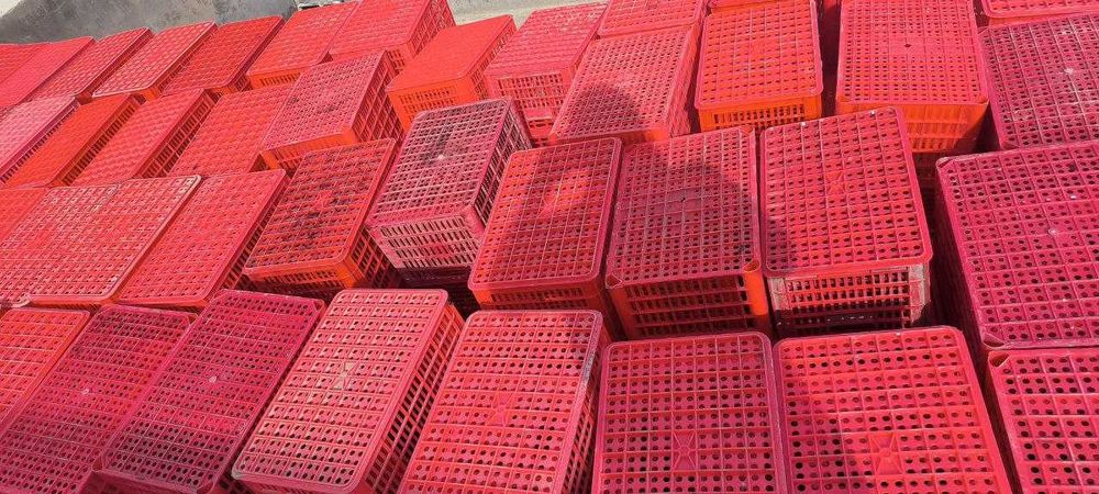 Ящик (мева ва сабзовотлар учун)