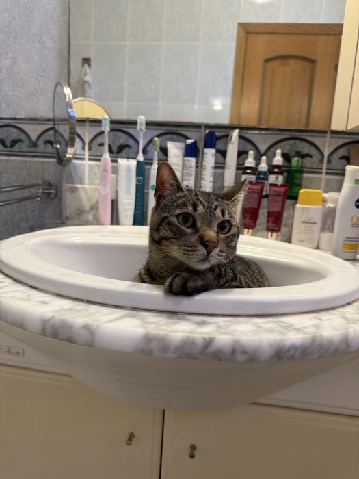 Edgar își caută o familie iubitoare