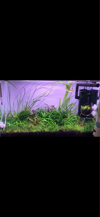 Week aqua M 400 pro