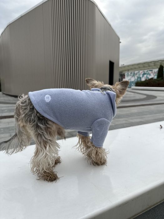 Свитер для собак, ангора