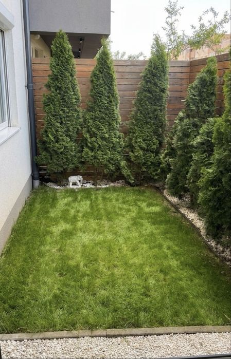 Apartament 3 camere cu curte