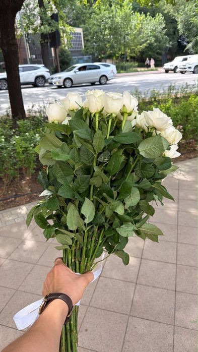 Продам красивые белые розы