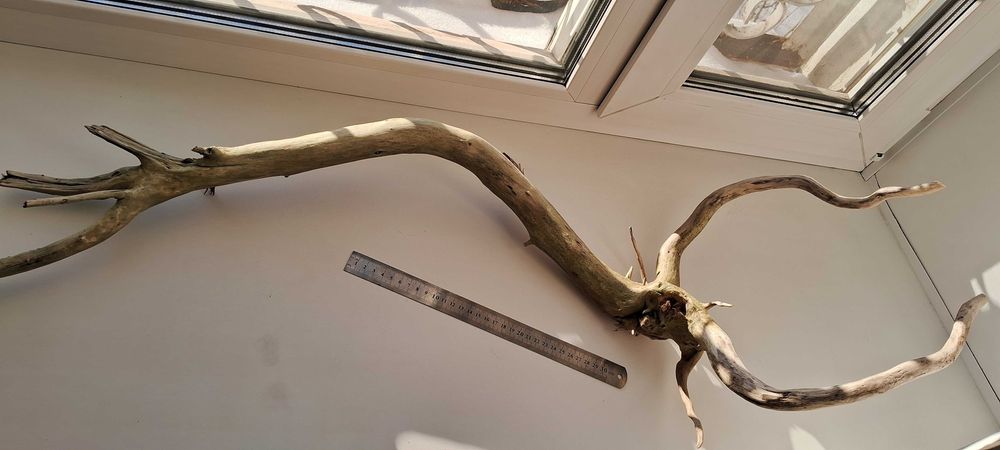 Коряга для аквариума