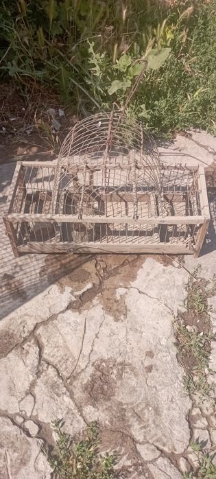 Клетки для содержание и ловли диких певчих птиц