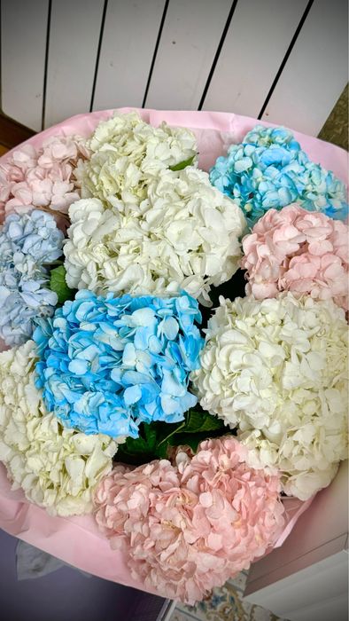 Цветы гортензия