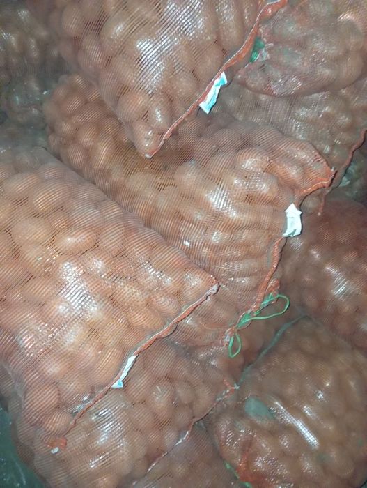 Продам картофель.