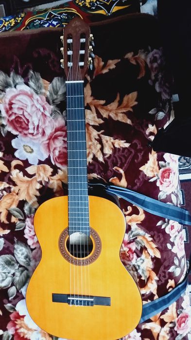 Orginal Eko gitar
