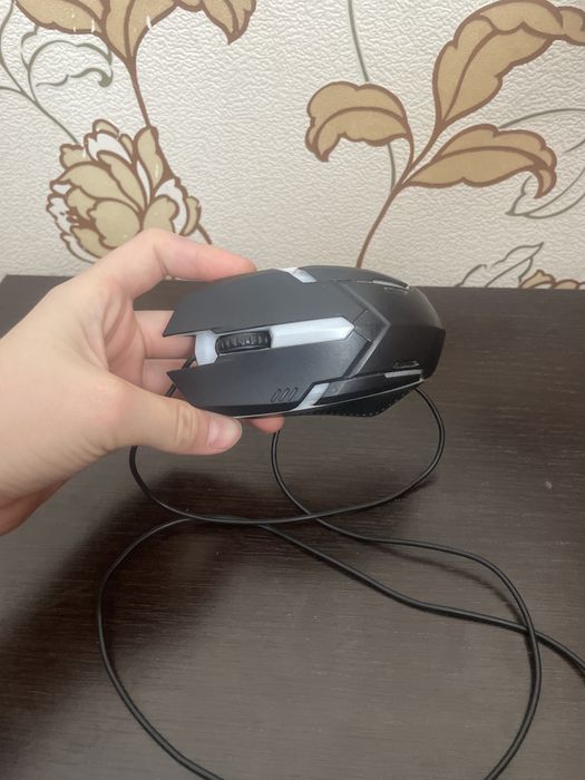 Кампитор на мишка