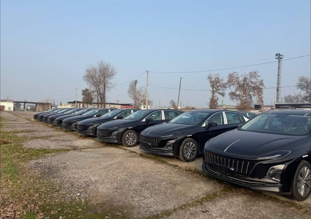 Hongqie E-QM5 rassrochkaga bor