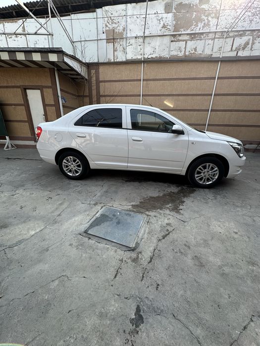 Cobalt Stayle sotiladi naxtga