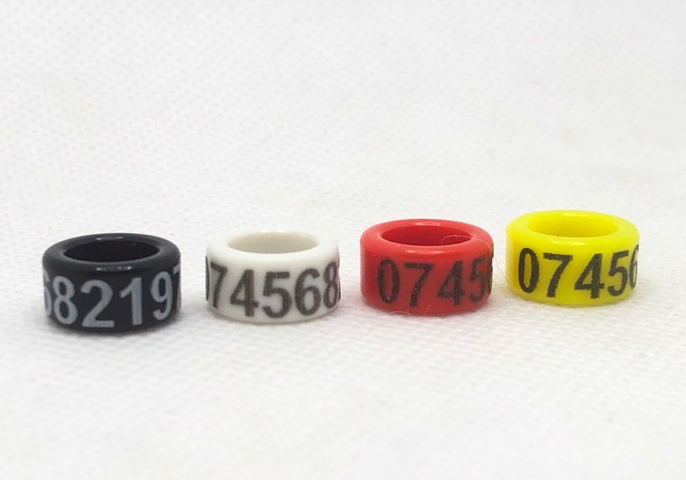 Inele porumbei voiajori personalizate din plastic