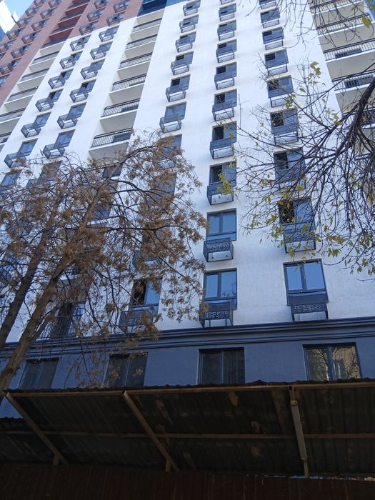 Кора камиш 1/4 да 54 кв 2/6/16