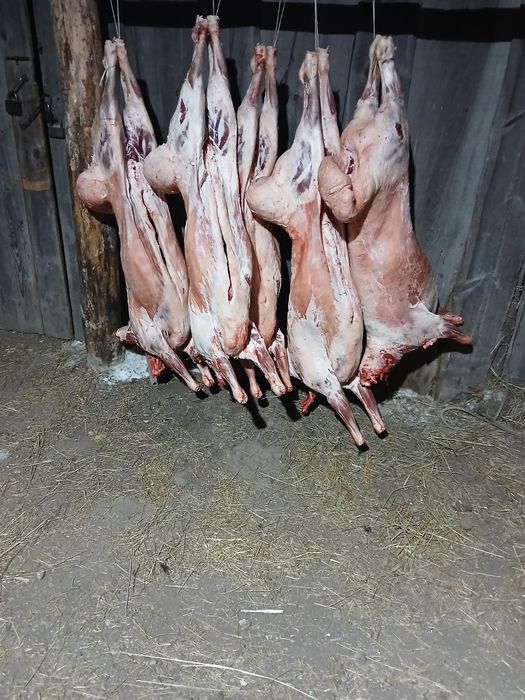 Принимаем баранину